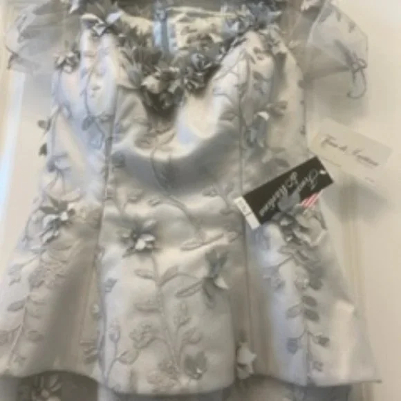 Tina DiMartina Designer Gown - Picture 2 of 4